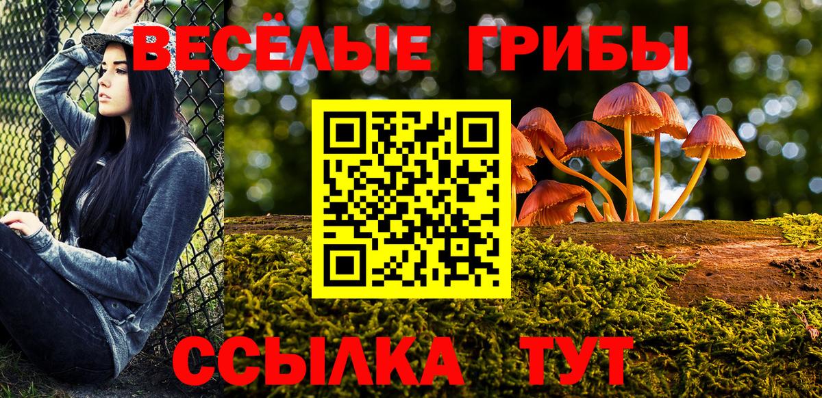 Галлюциногенные грибы MAGIC MUSHROOMS  где можно купить   Арзамас  Вход с VPN 